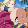 Krillin and Android 18 in 