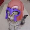 Magneto the Cat!